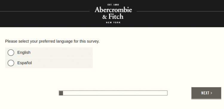 Abercrombie Fitch Survey