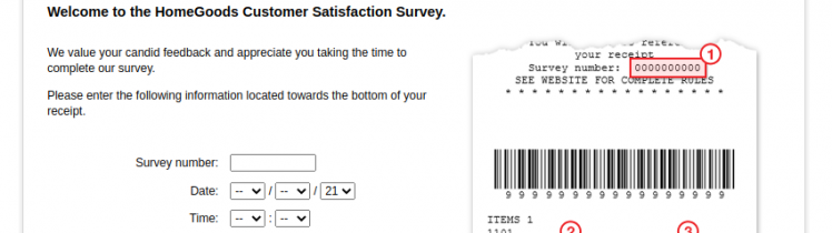 HomeGoods Survey logo