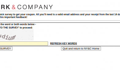 New York Company Voice Survey