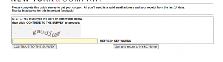 New York Company Voice Survey